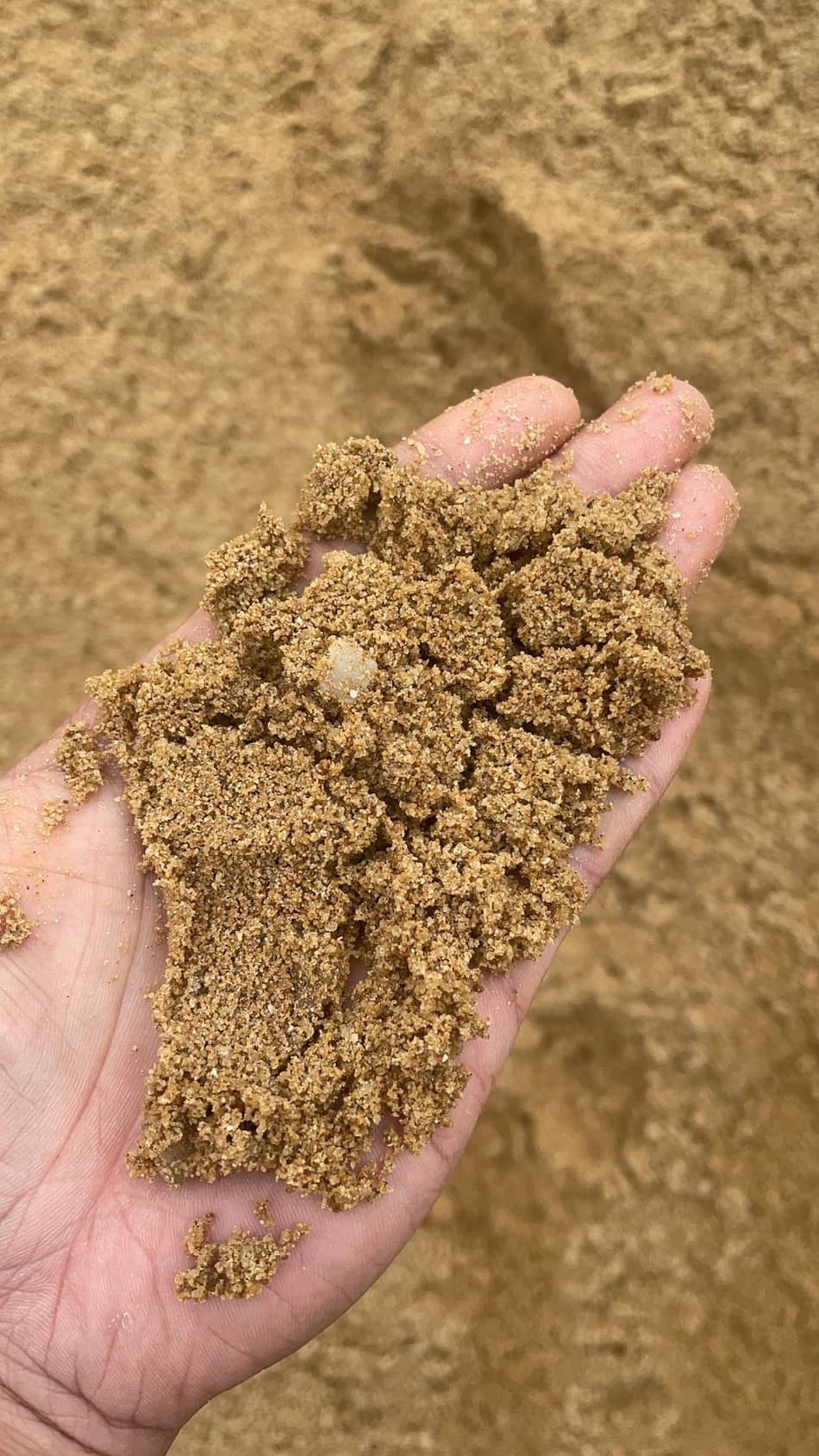 纯天然河沙手捧实拍,颗粒均匀含泥量低